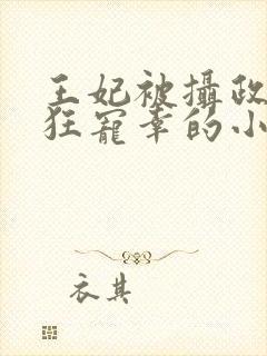 王妃被摄政王疯狂宠幸的小说