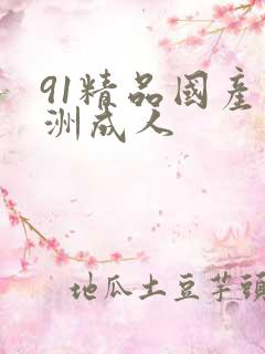 91精品国产亚洲成人