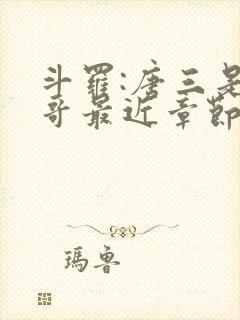 斗罗:唐三是我哥最近章节