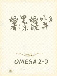 婚里婚外》 作者:叶晓井