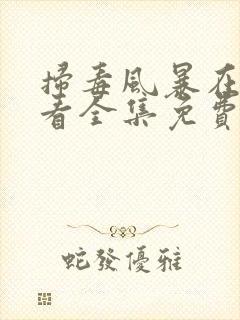 扫毒风暴在线观看全集免费播放