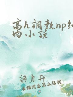 高h调教np纯肉小说