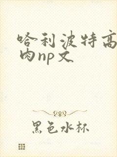 哈利波特高h纯肉np文