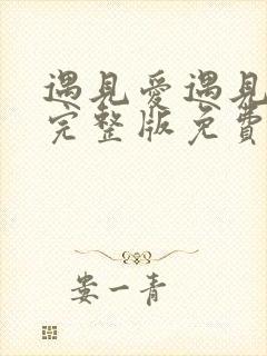 遇见爱遇见幸福完整版免费