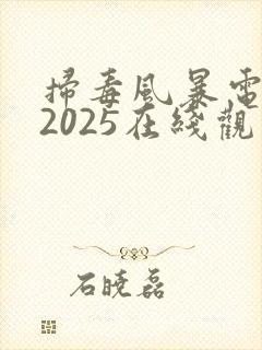 扫毒风暴电视剧2025在线观看免费