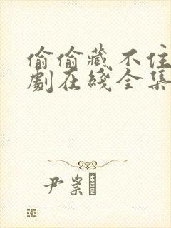 偷偷藏不住电视剧在线全集免费