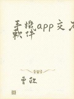 手机app交友软件