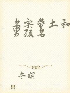 名字带土和金的男孩名