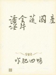 潘金莲国产一级淫片