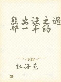 熊出没之过年是哪一年的