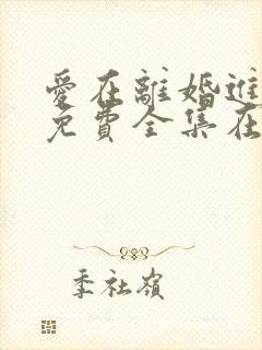 爱在离婚进行时免费全集在线观看