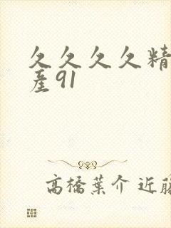 久久久久精品国产91