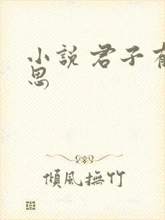 小说 君子有九思