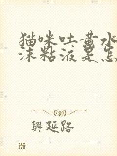 猫咪吐黄水有泡沫粘液是怎么了