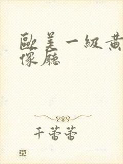 欧美一级黄色录像厅