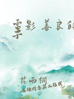 电影 善良的妻子