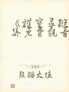 《护宝寻踪》全集免费观看