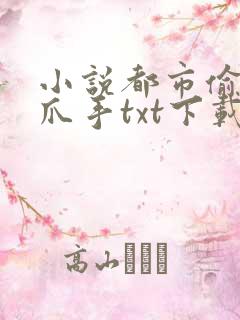 小说都市偷心龙爪手txt下载
