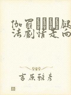 伽罗ちゃんが腿法剧情走向