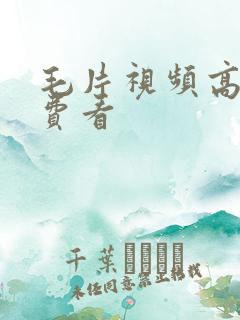 毛片视频高清免费看