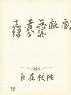 正者无敌剧情介绍分集