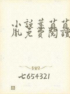 小说叶苜苜战承胤免费阅读