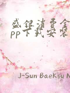 盛银消费金融app下载安装