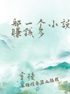 哪一个小说软件赚钱多