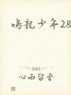 鸣龙少年28集