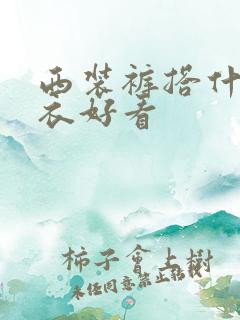 西装裤搭什么上衣好看