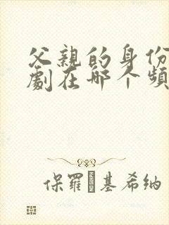 父亲的身份电视剧在哪个频道播放