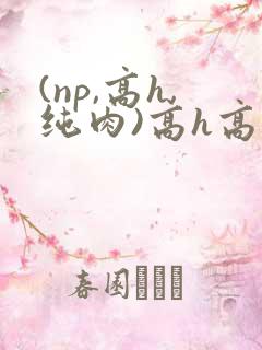 (np,高h,纯肉)高h高辣