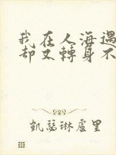 我在人海遇见你却又转身不见你是什么歌