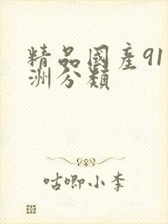 精品国产91亚洲分类