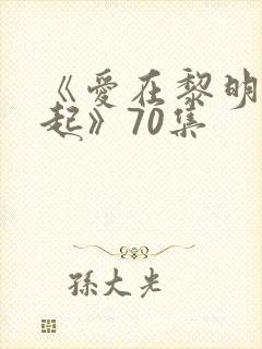 《爱在黎明前升起》70集