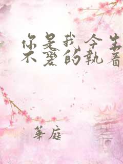 你是我今生唯一不变的执着是什么歌