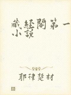 藏经阁第一版主小说