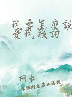 我要怎么说你才爱我歌词
