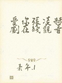 爱你张凌赫电视剧在线观看