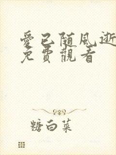 爱已随风逝短剧免费观看