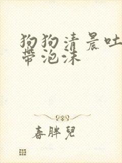 狗狗清晨吐黄水带泡沫