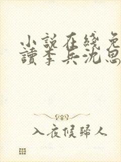 小说在线免费阅读李兵沈思