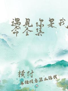 遇见你是我的宿命全集