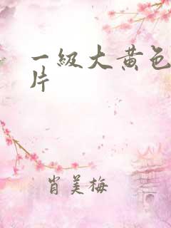 一级大黄色录像片