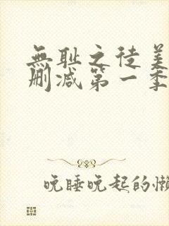 无耻之徒美版无删减第一季