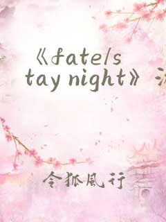 《fate/stay night》游戏