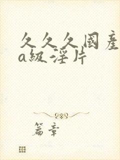 久久久国产aaa级淫片