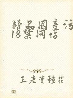 精品国产污污污18禁网站