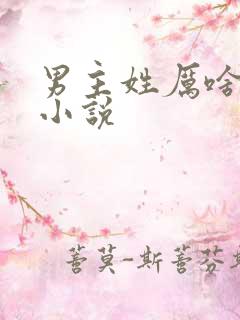 男主姓厉啥琛的小说