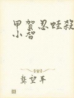 甲贺忍蛙杀死了小智